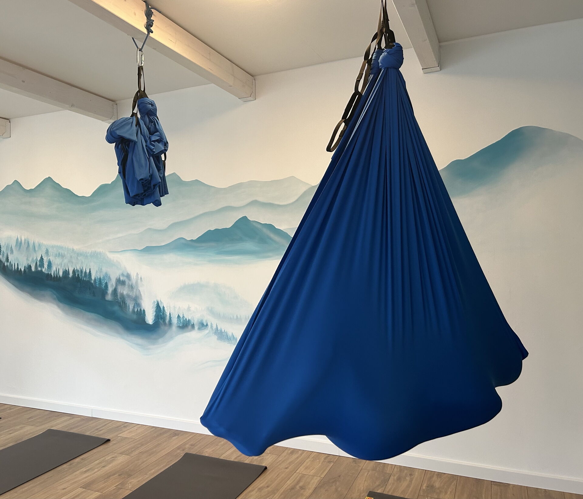 Aerial hammock close-up